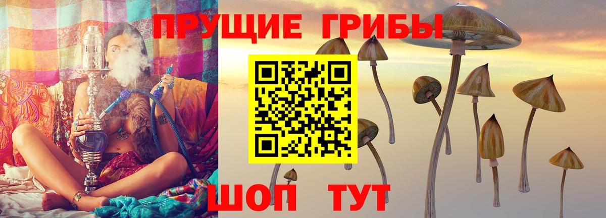 Псилоцибиновые грибы MAGIC MUSHROOMS Йошкар-Ола