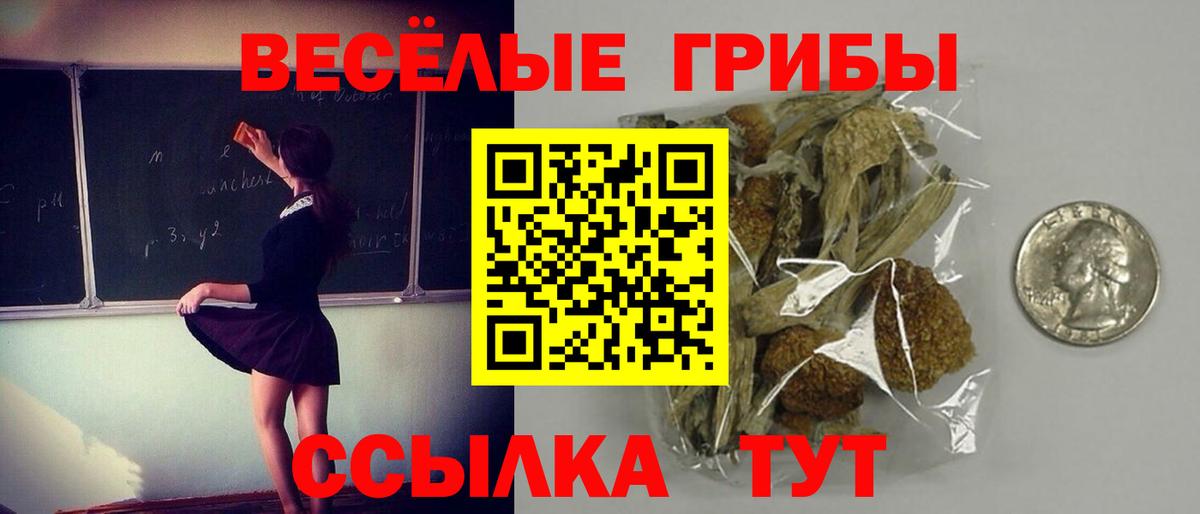 Йошкар-Ола  Галлюциногенные грибы Psilocybine cubensis  Галлюциногенные грибы прущие грибы  Вход с VPN 
